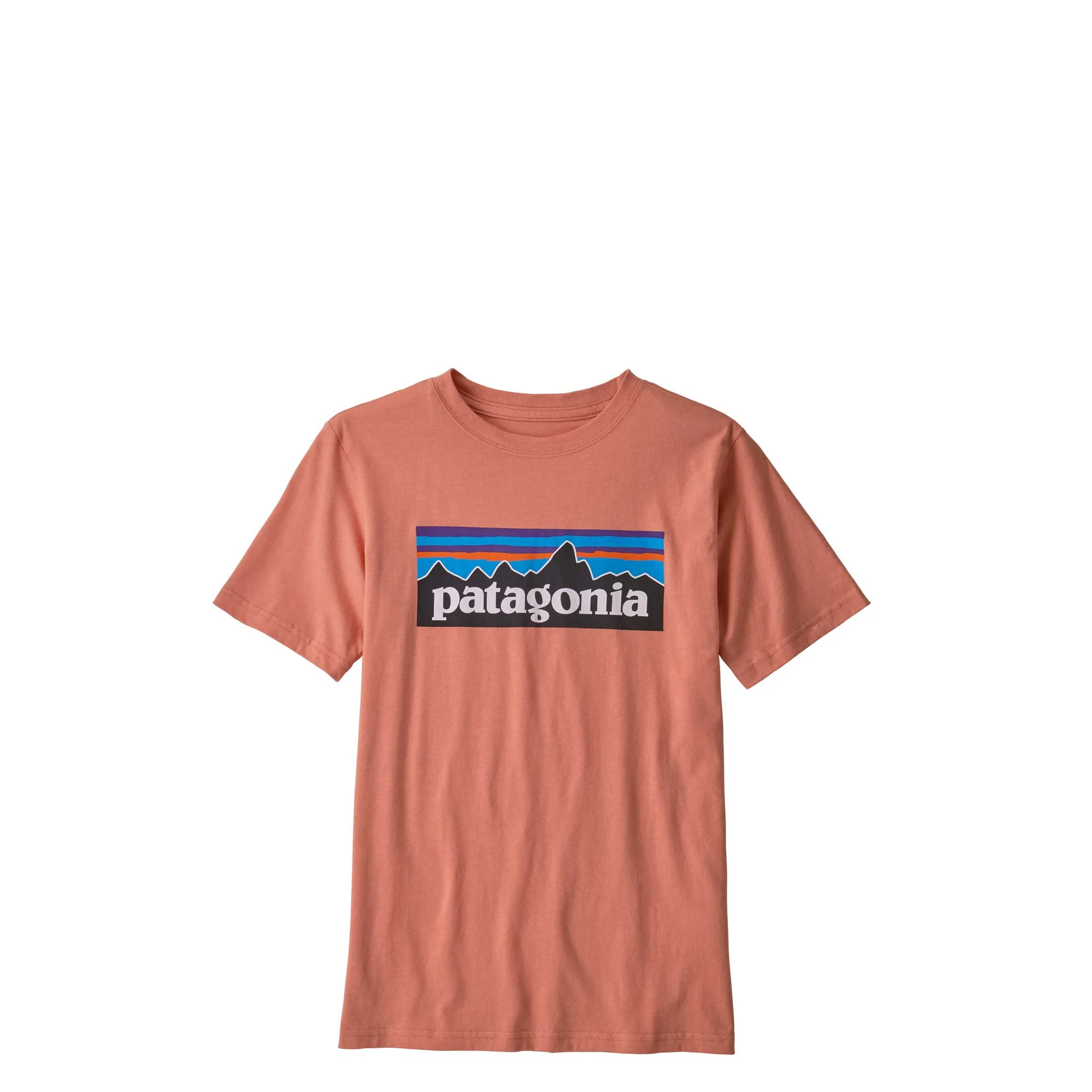 Patagonia Boys P-6 Logo Organic T-shirt