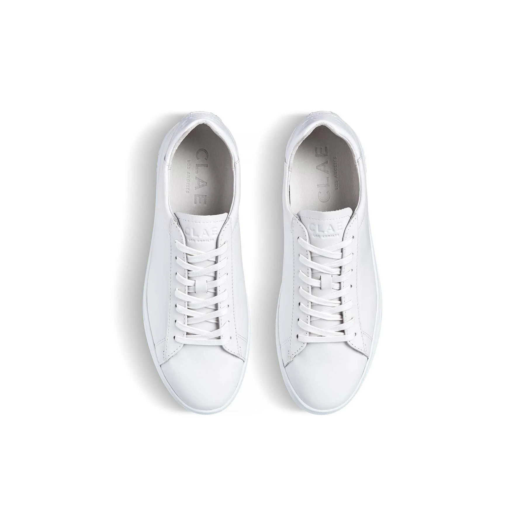 Clae Bradley - Image 3