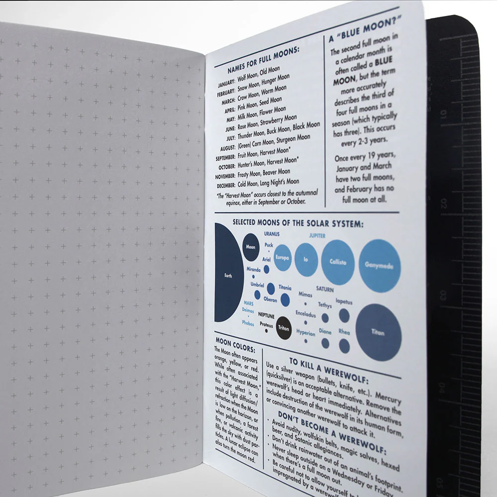 Field Notes 3-Pack Lunacy Paper - Image 3