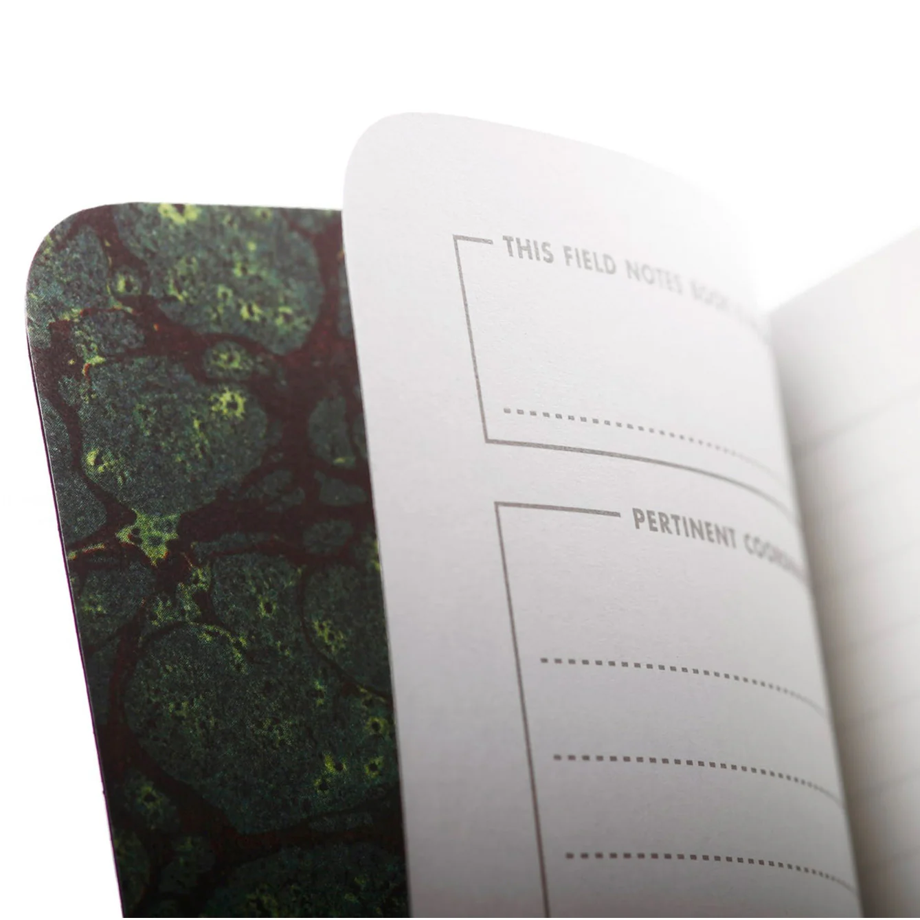 Field Notes End Papers journal (Set of two, Edition #40) - Image 2