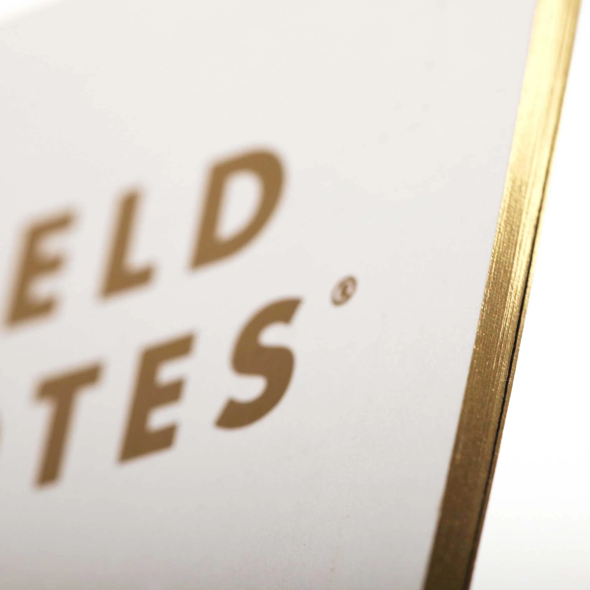 Field Notes Group Eleven (3-Pack, dot-graph paper) - Image 3