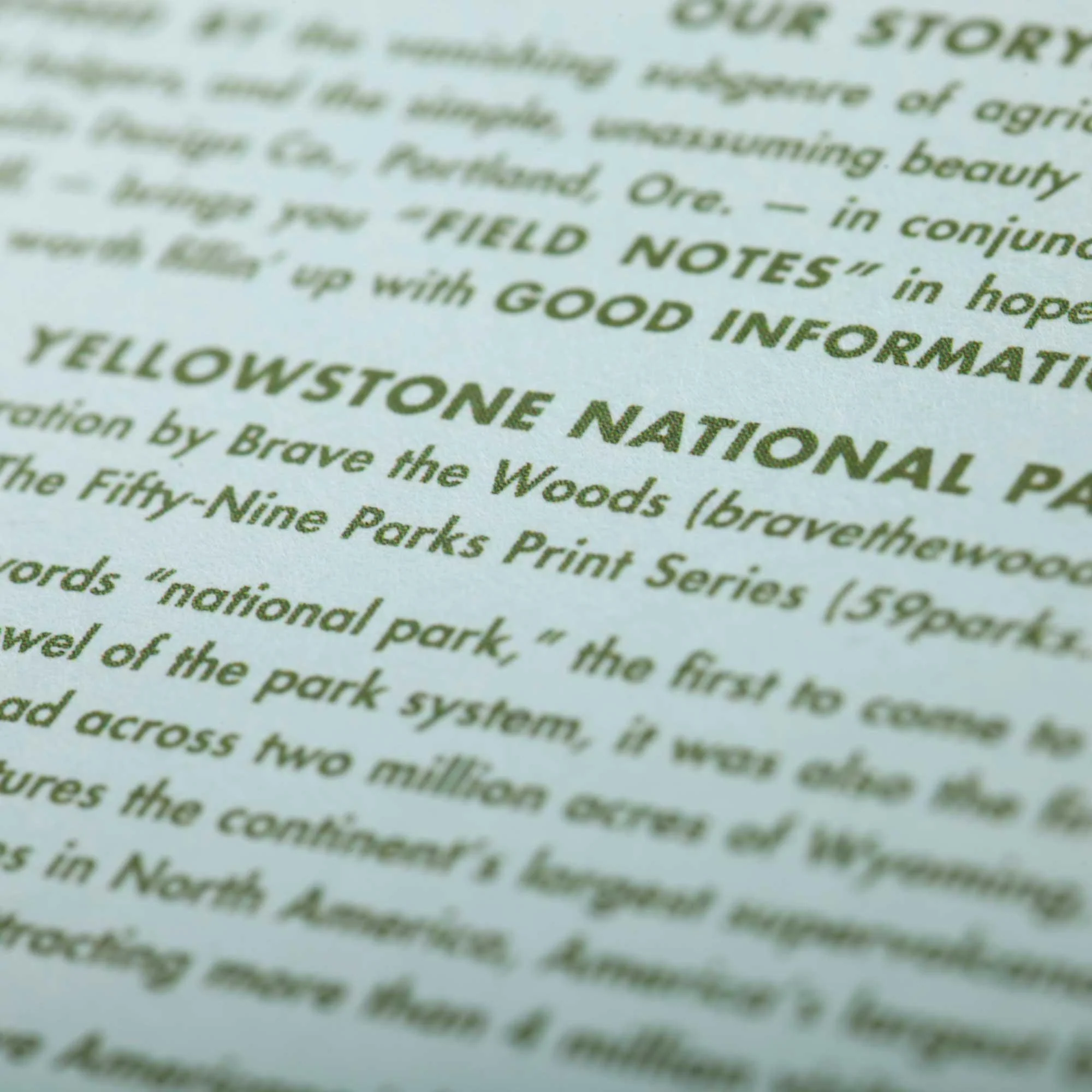 Field Notes National Parks Series C (Rocky, Smoky, Yellowstone; 3-Pack, graph) - Image 5