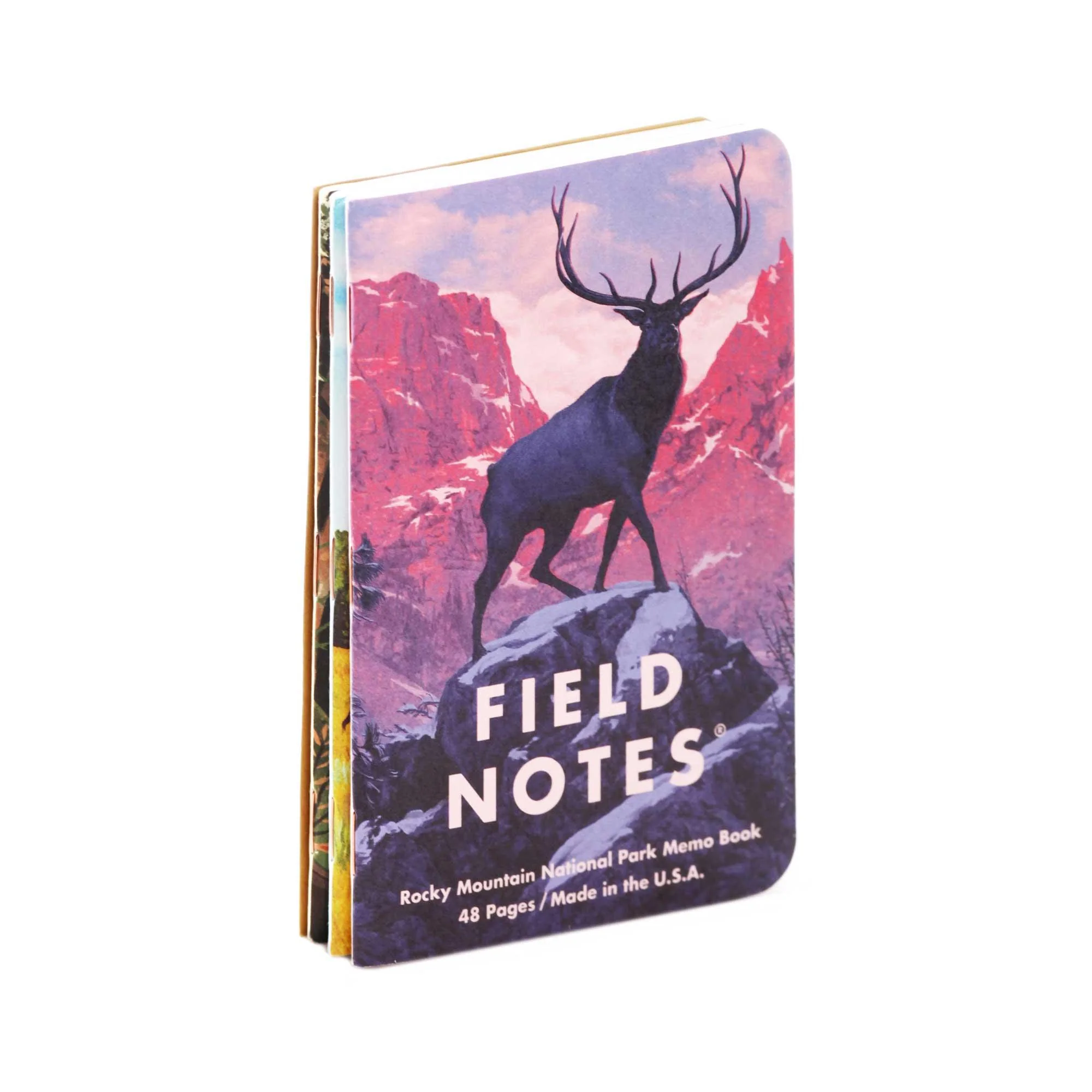 Field Notes National Parks Series C (Rocky, Smoky, Yellowstone; 3-Pack, graph) - Image 6