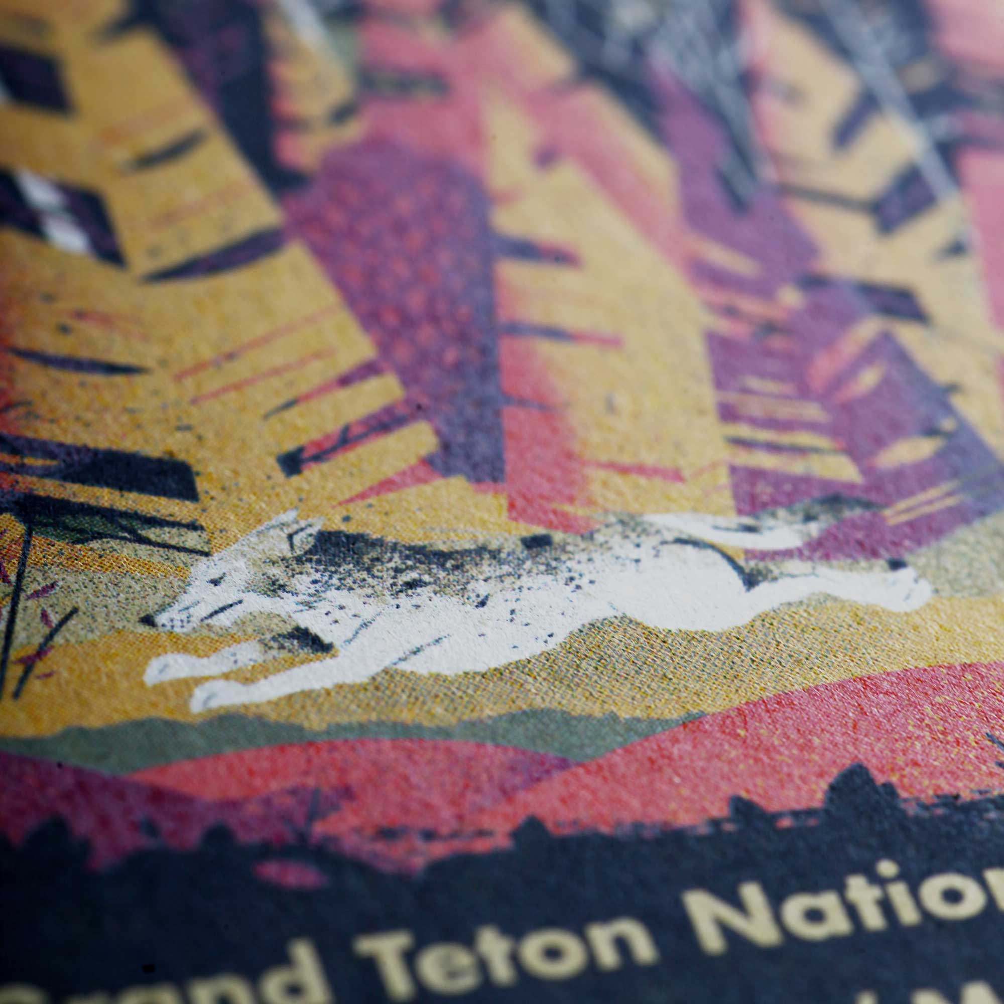 Field Notes National Parks Series D (Grand Teton, Arches, Sequoia; 3-Pack, graph) - Image 4