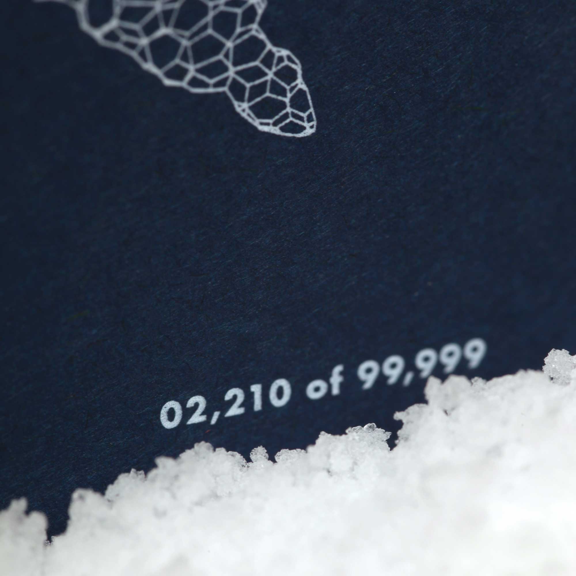 Field Notes Snowy Evening (3-Pack, Memo Books) - Image 8