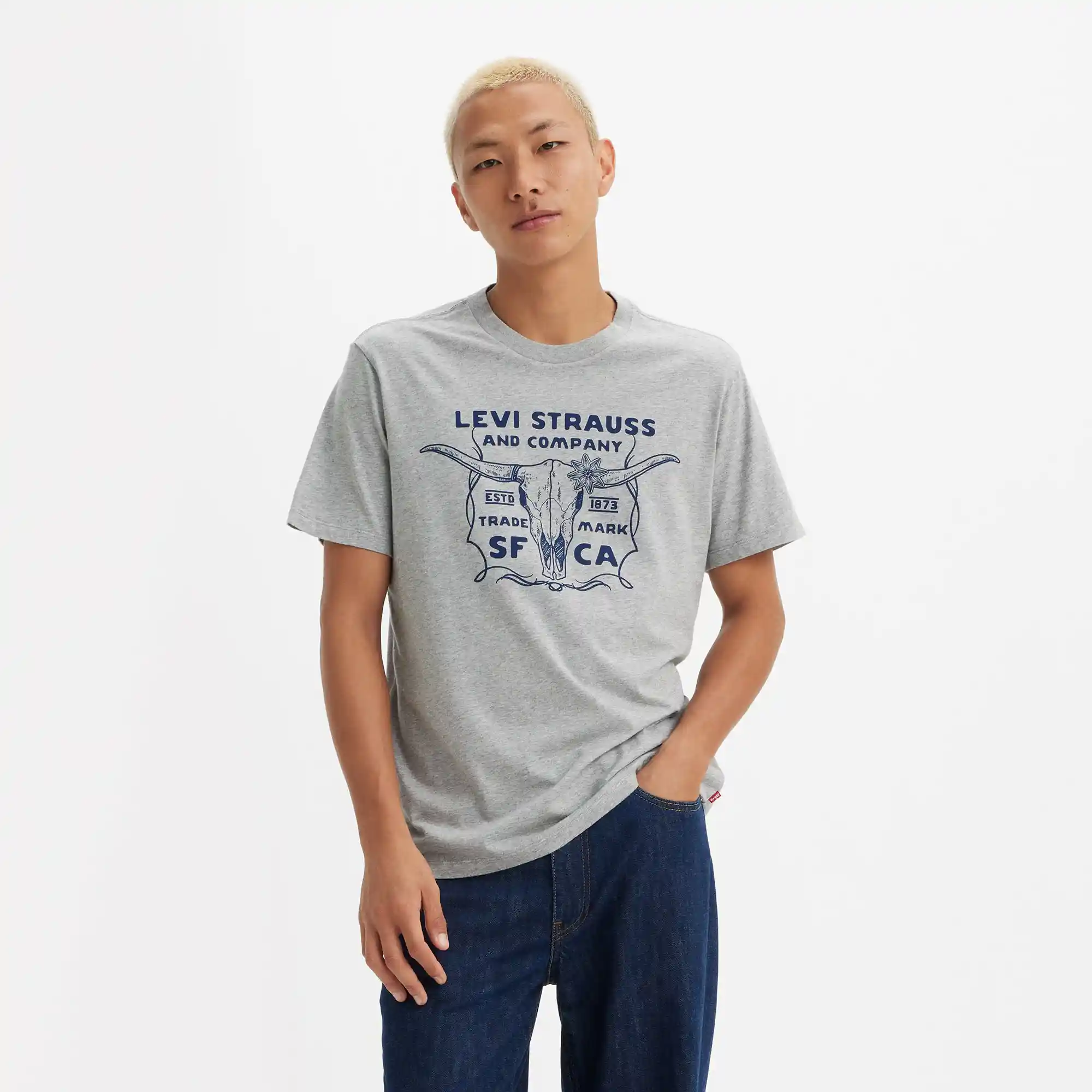 Levi's Americana Bull Skull Tee, midtone heather grey