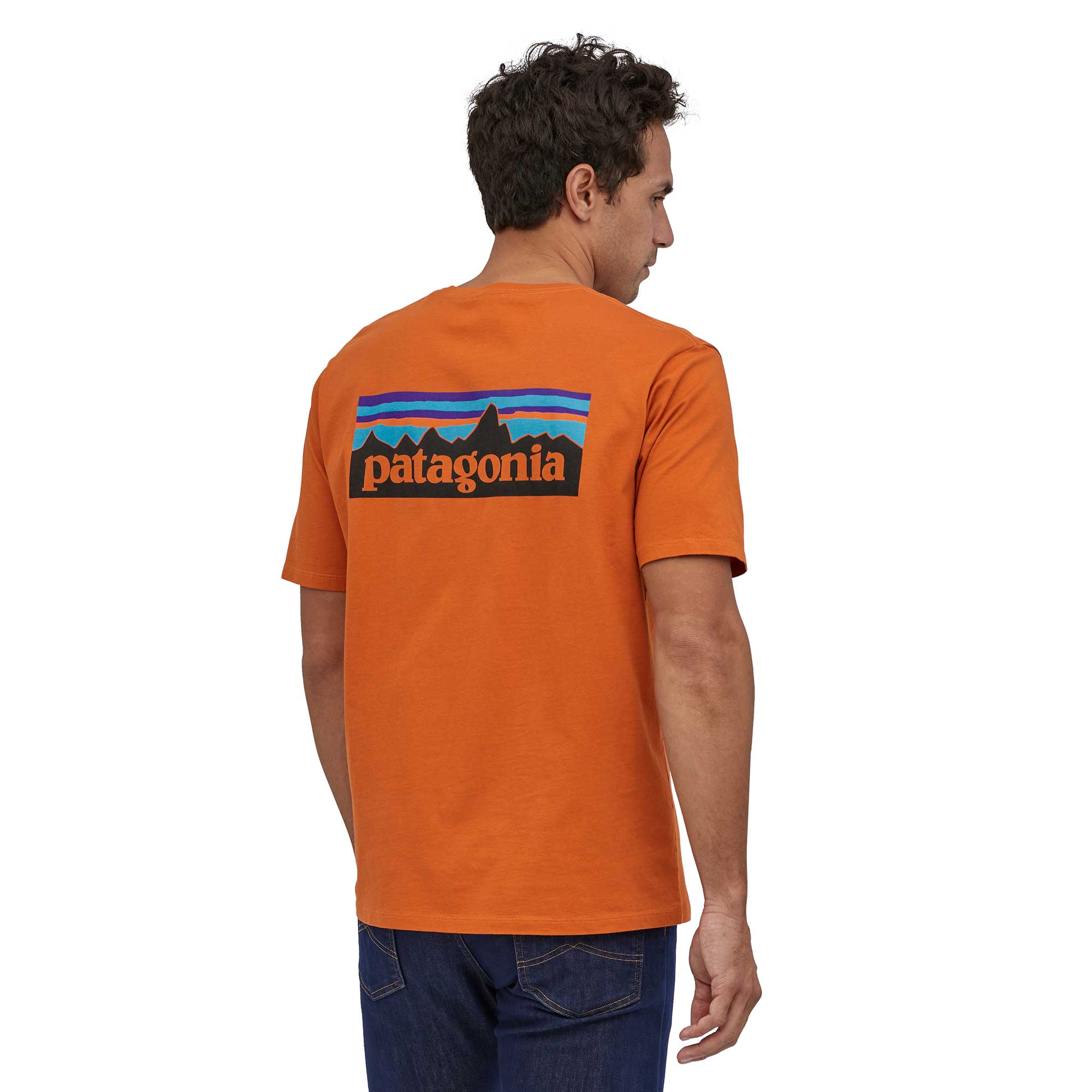 Patagonia Mens P-6 Logo Organic T-shirt - Image 3