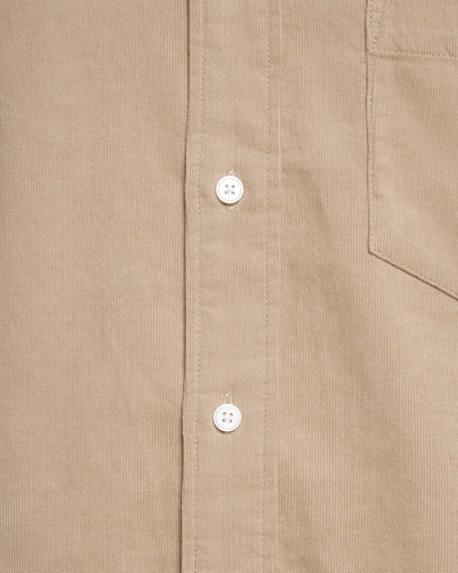 Minimum Colt Shirt, chinchilla - Image 4