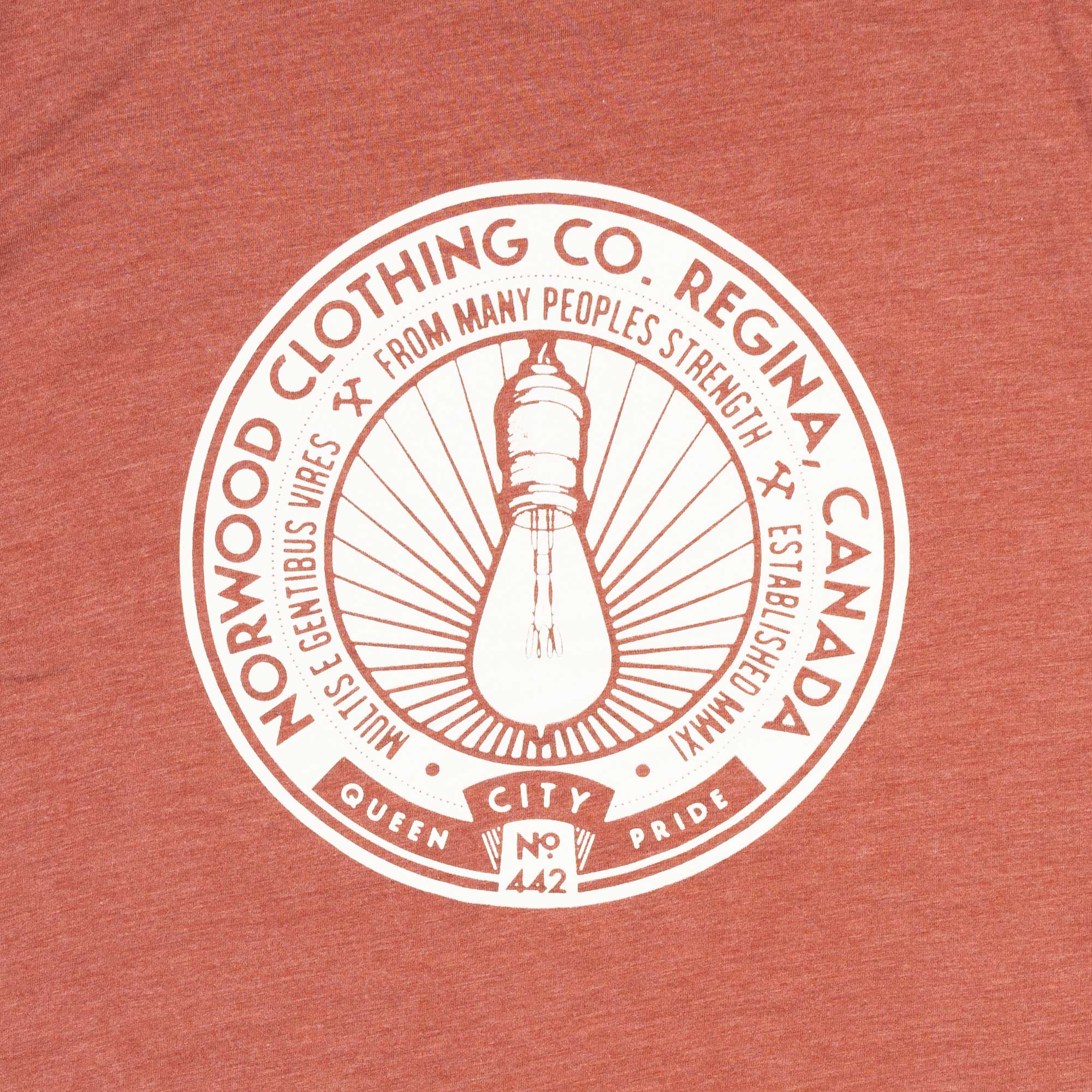 Norwood Light Bulb Tri-Blend Tee - Image 4
