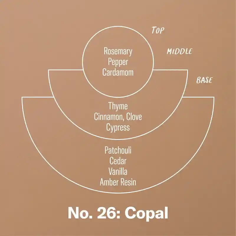 P.F. Candle Co. Copal 7.2 Oz Standard Candle - Image 3