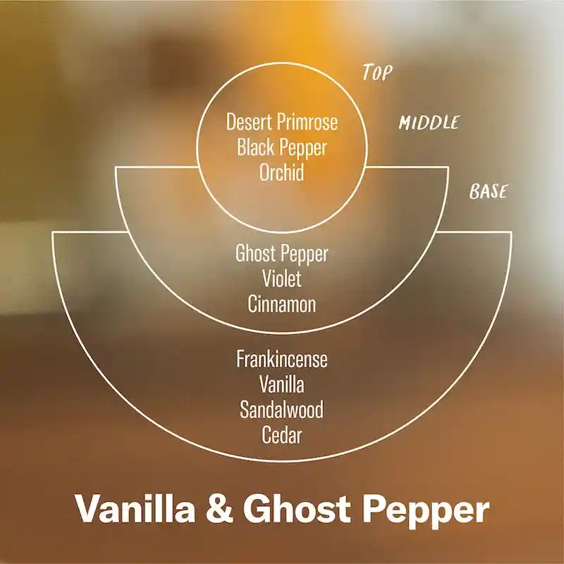 P.F. Candle Co. Vanilla & Ghost Pepper 7.2 Oz Standard Candle - Image 3