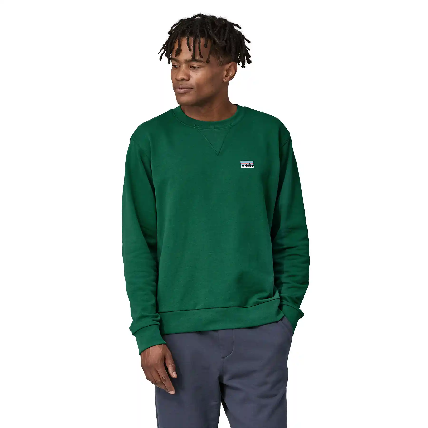 Patagonia Daily Crewneck Sweatshirt, conifer green - Image 2