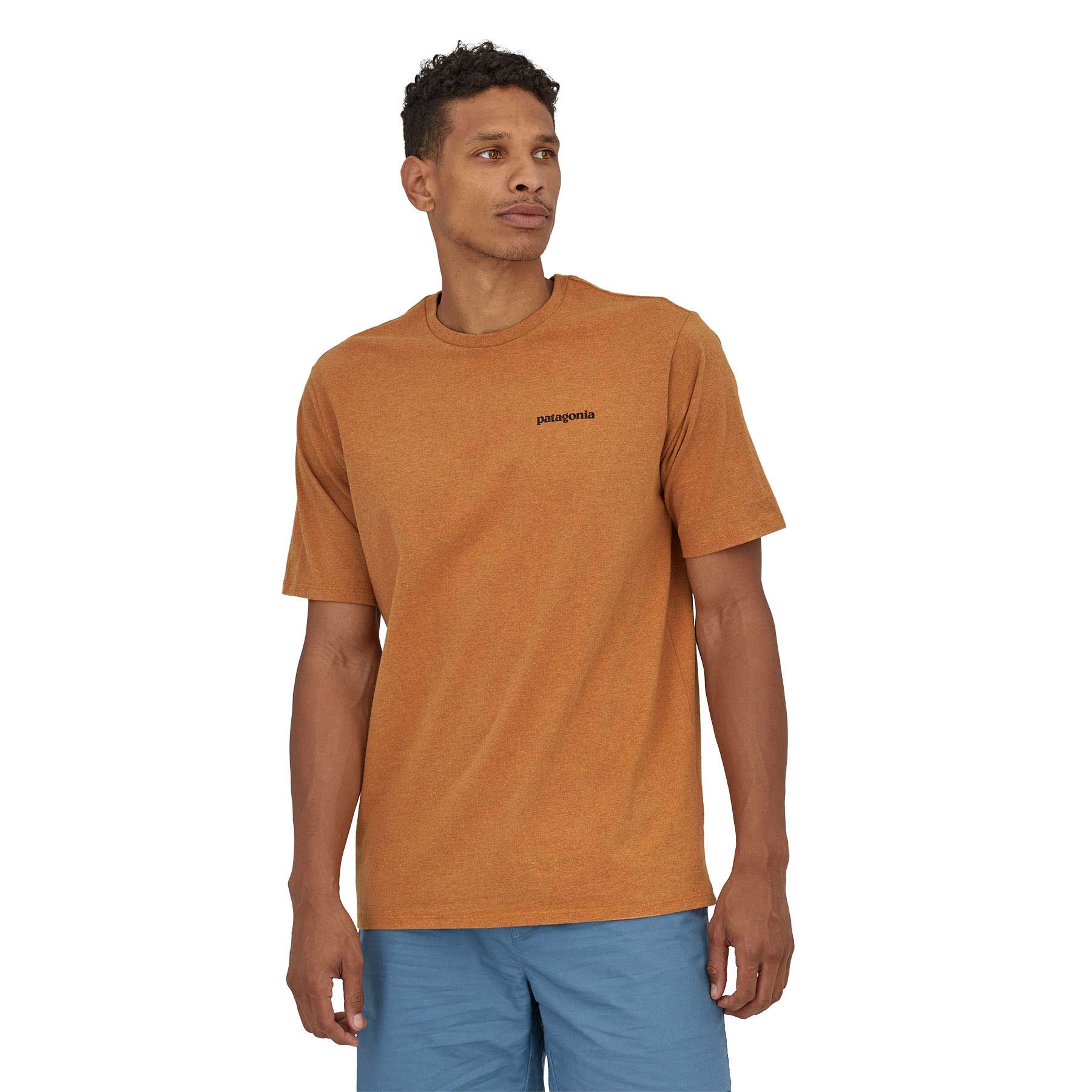 Patagonia Mens P-6 Logo Responsibili-Tee - Image 2