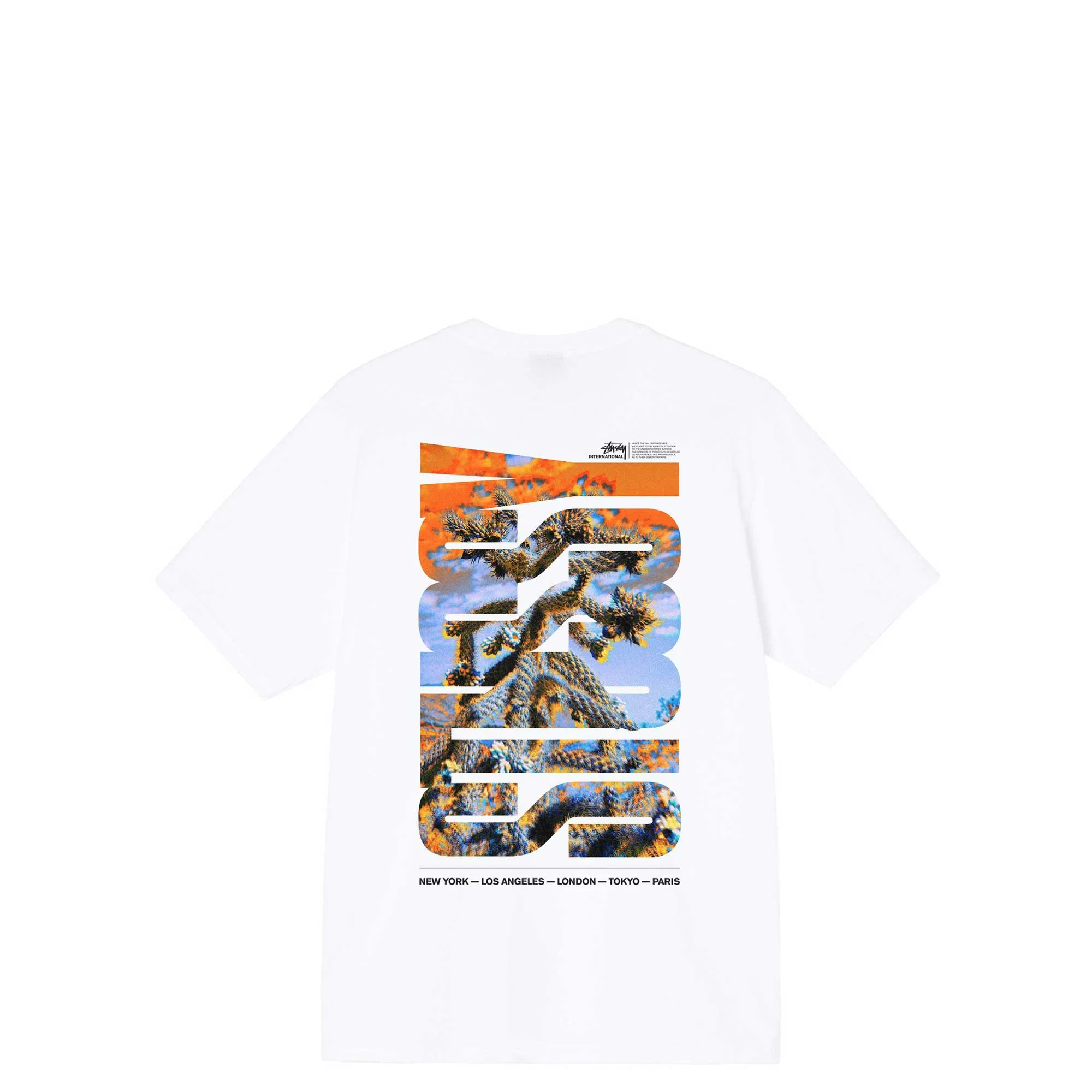 Stussy Desert Sky Tee