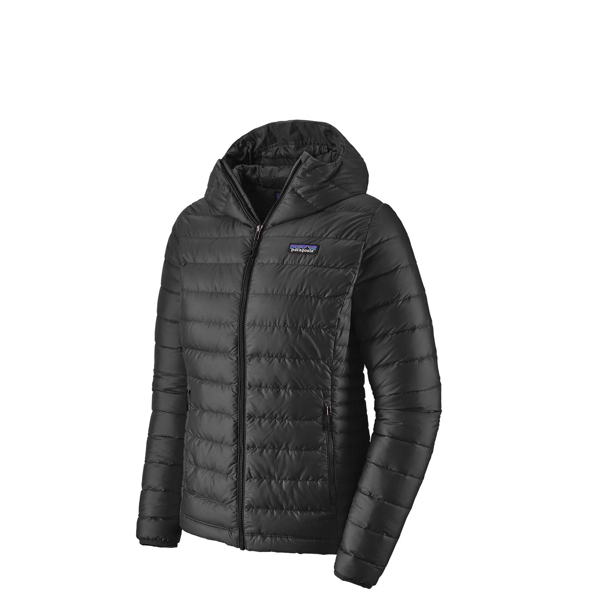 Patagonia Womens Down Sweater Hoody